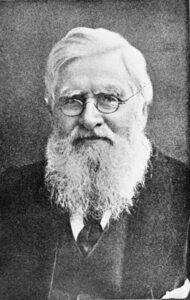 Alfred Wallace