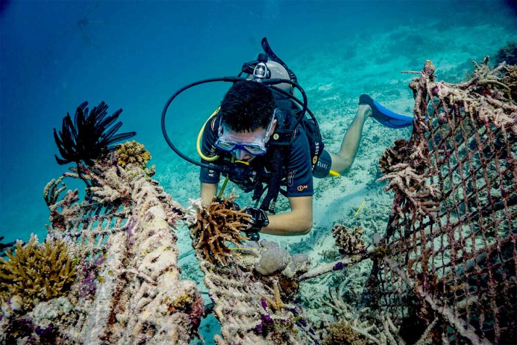 la confiance écologique de Gili