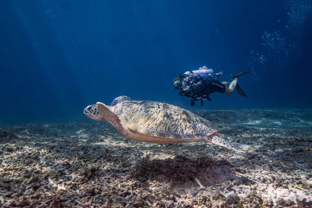 article de plongée océans cinq magazine karma instantané explorer l'indonésie gili air meno trawangan plongée indonésie bali récif de tuba sous l'eau