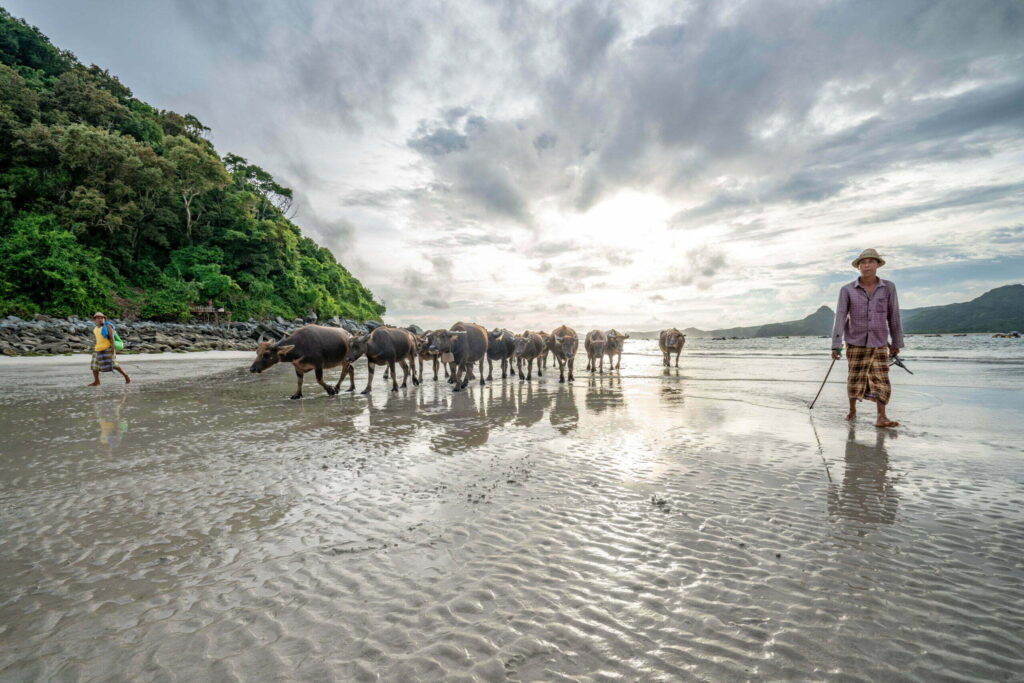 peuple sasak article sur la culture de Lombok magazine de karma instantané voyageur mondful indonésie