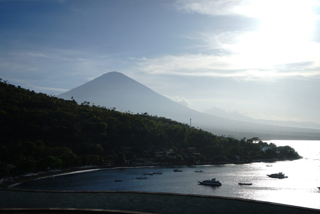 amed view