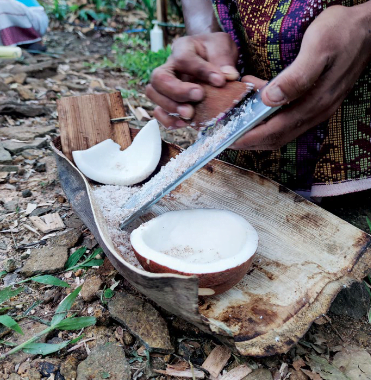 nourishing nature food dapur tara flores culture