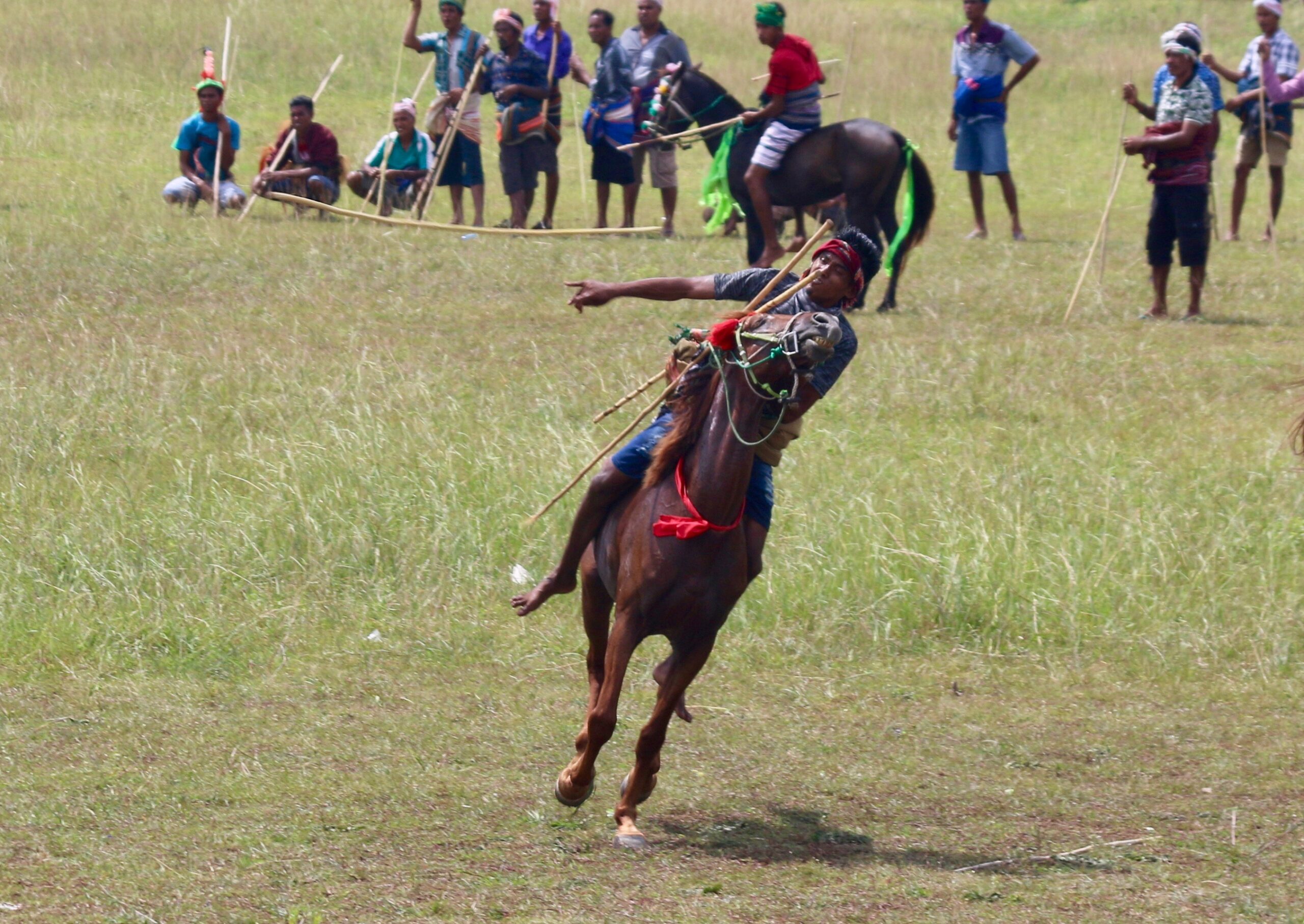 sumbas pasola festival