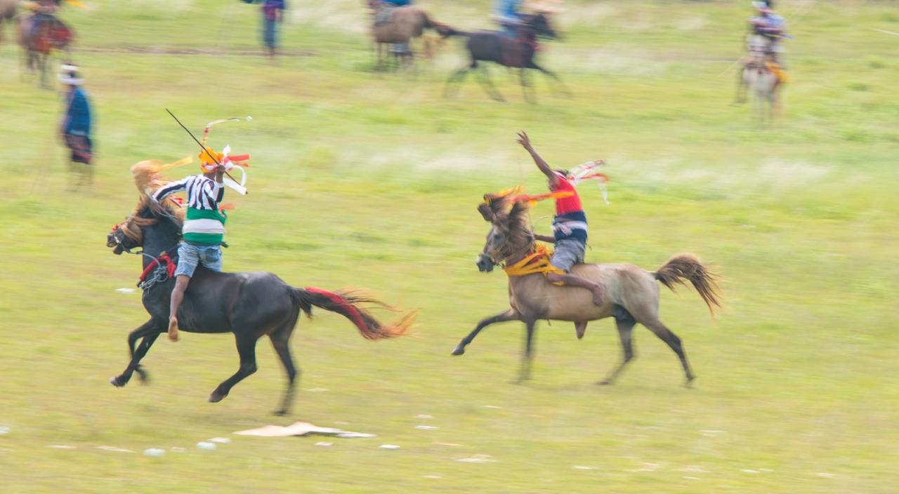 sumbas pasola festival