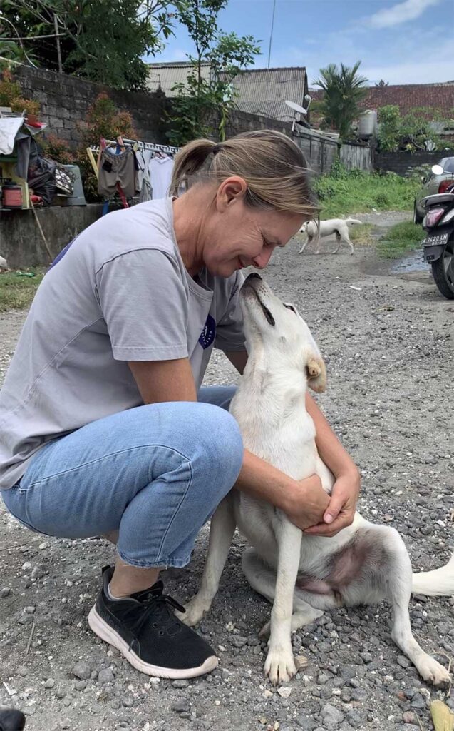 バリ島の野良犬