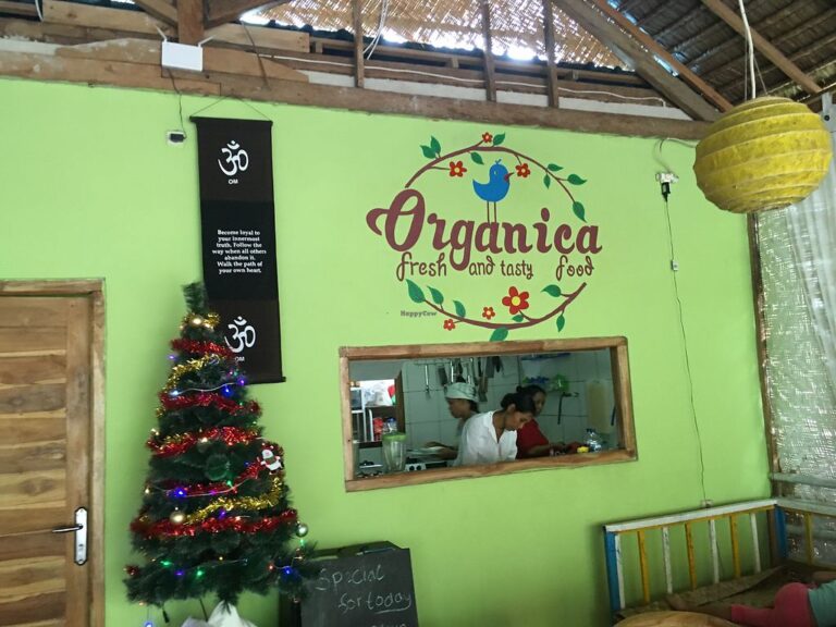 organica penida comida vegetariana vegana na ilha de nusa penida