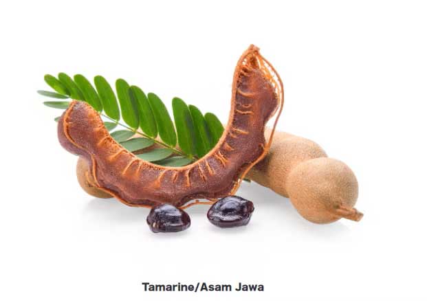 jamu tamarin aux herbes asam jawa