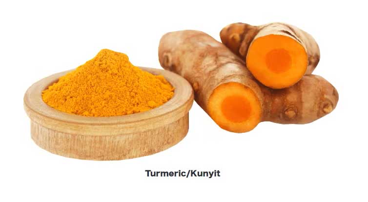 jamu booster immunitaire à base de plantes curcuma kunyit