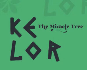 kelor arbre miracle moringa