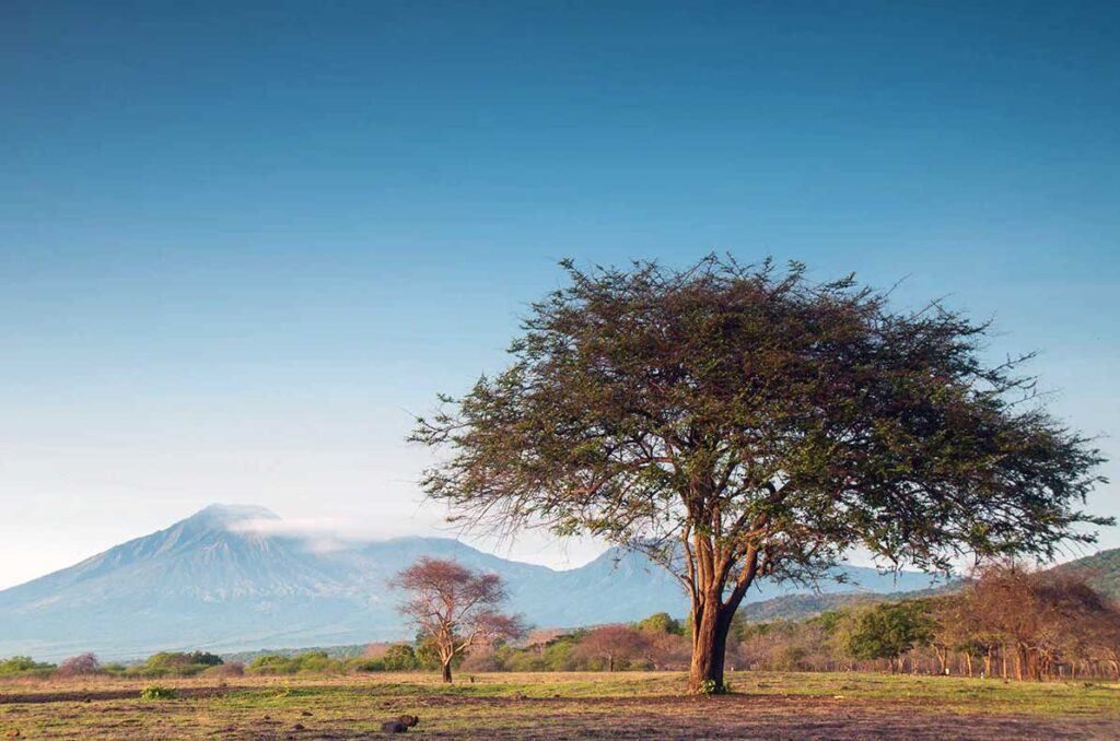 Savana Baluran Park Indonesien