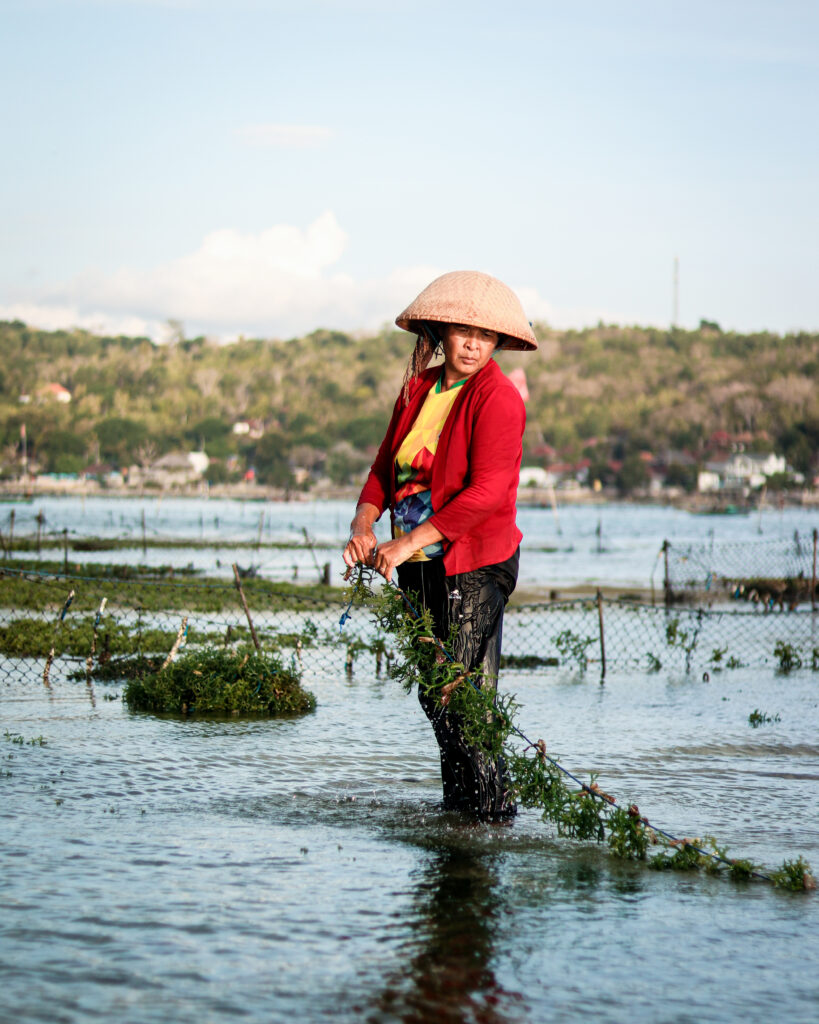 Programma Good Karma Sea Moss Frullato Good Karma